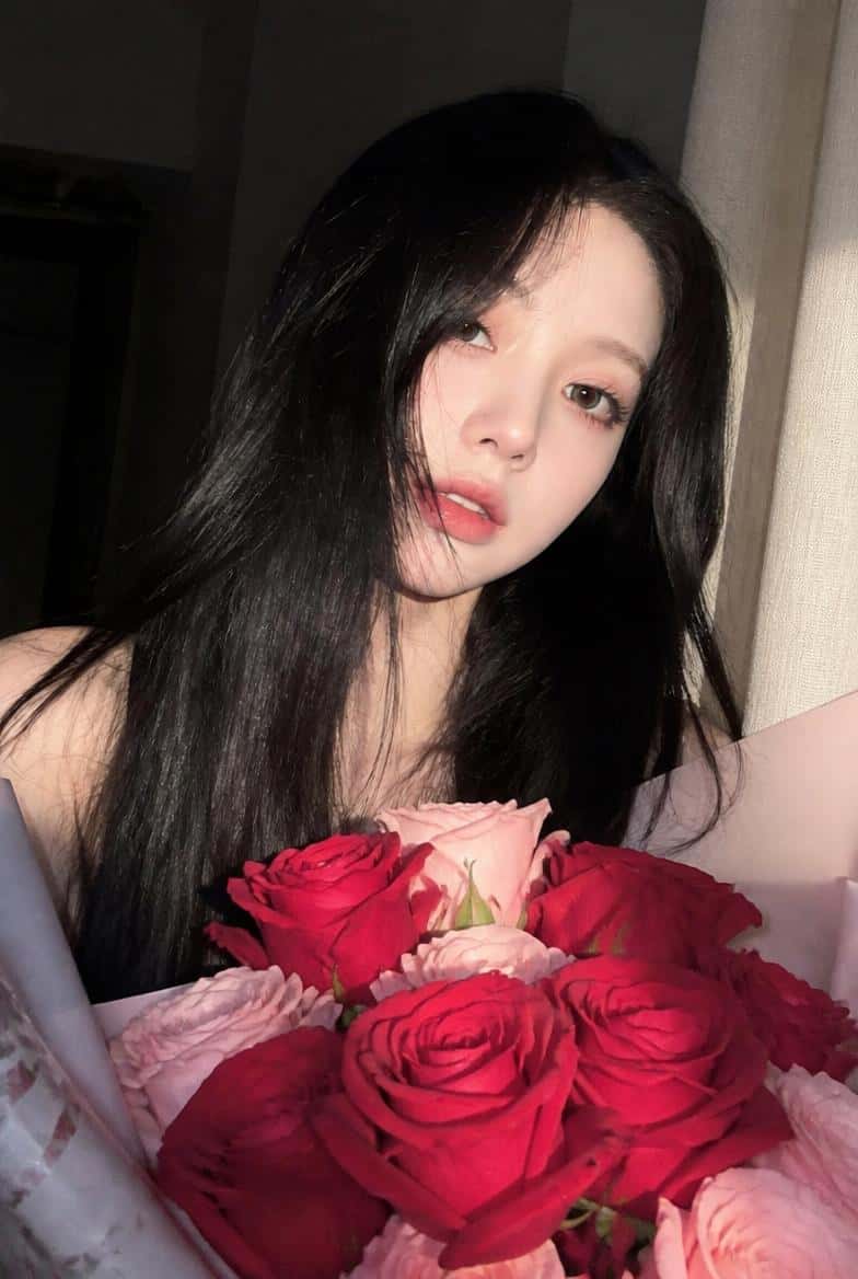 Rose Photo