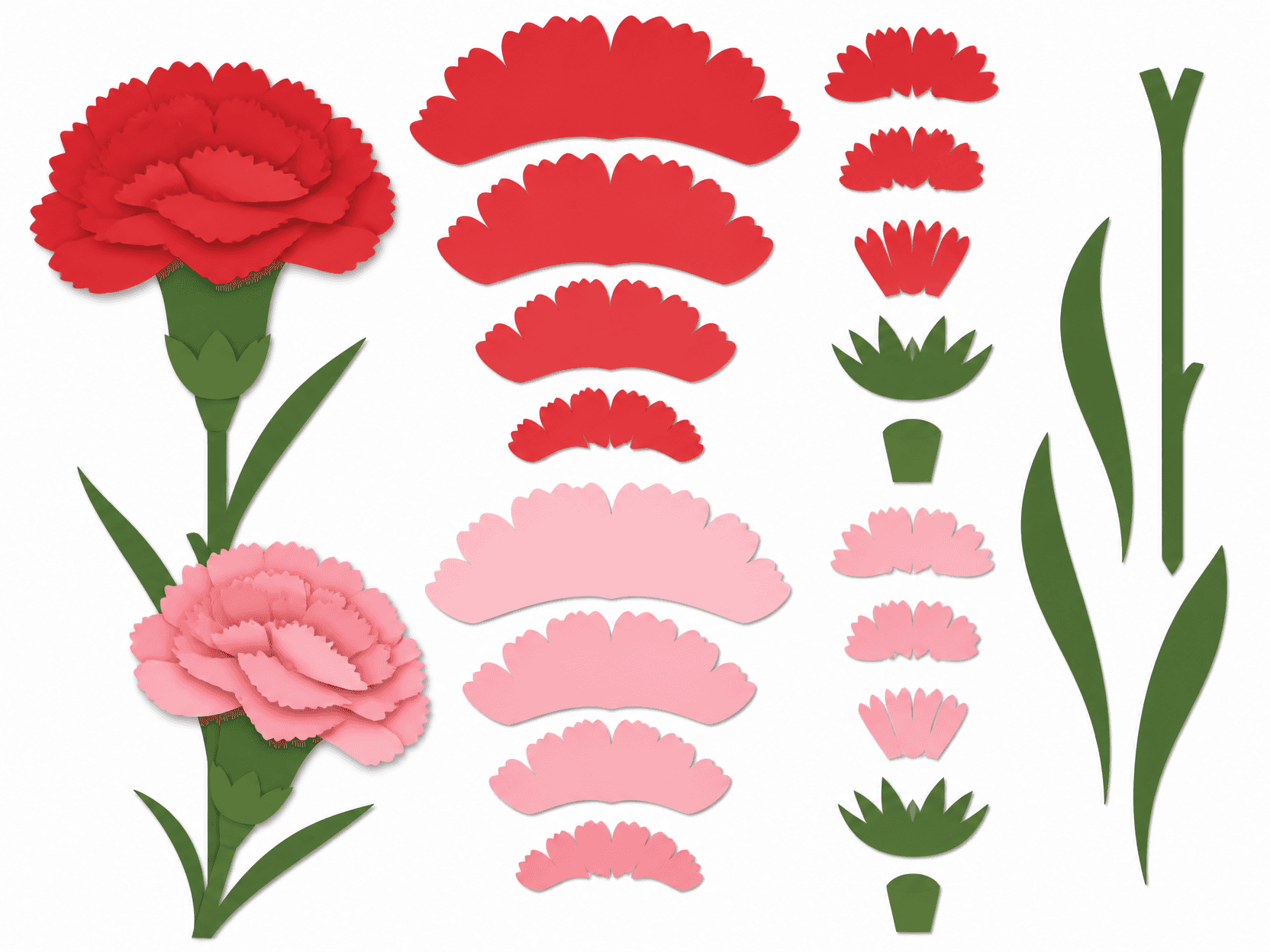 Carnation Template