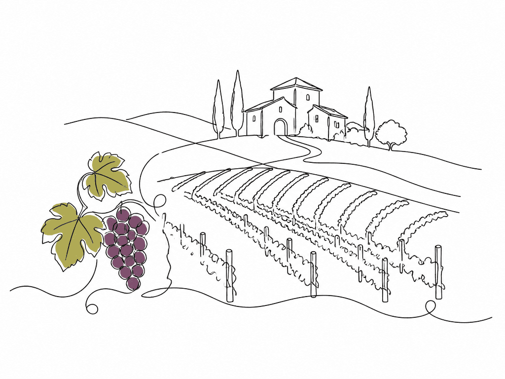 Vineyard Illustration