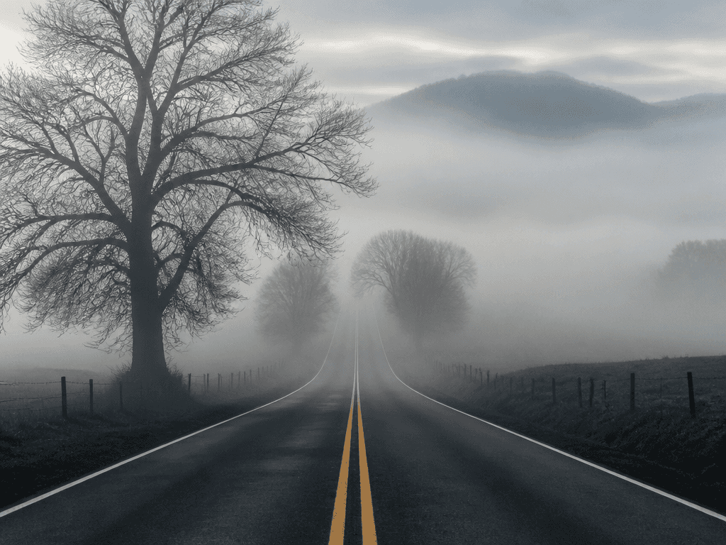 Fog Photo