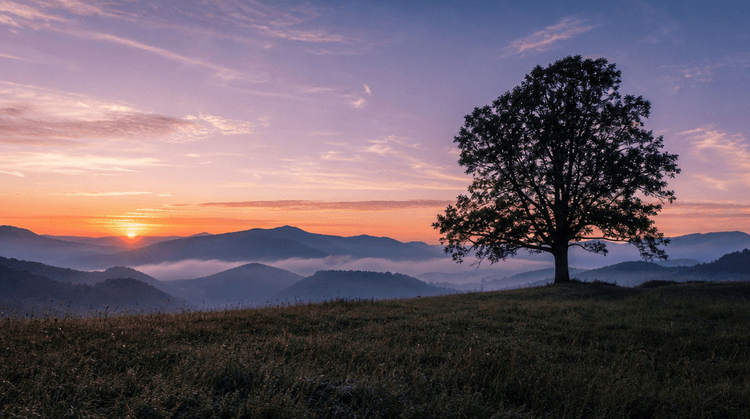 Dawn Photo