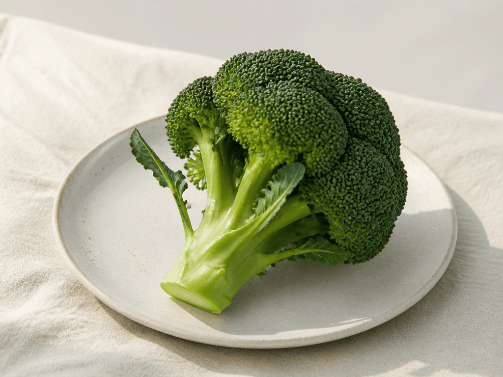 Broccoli Illustration