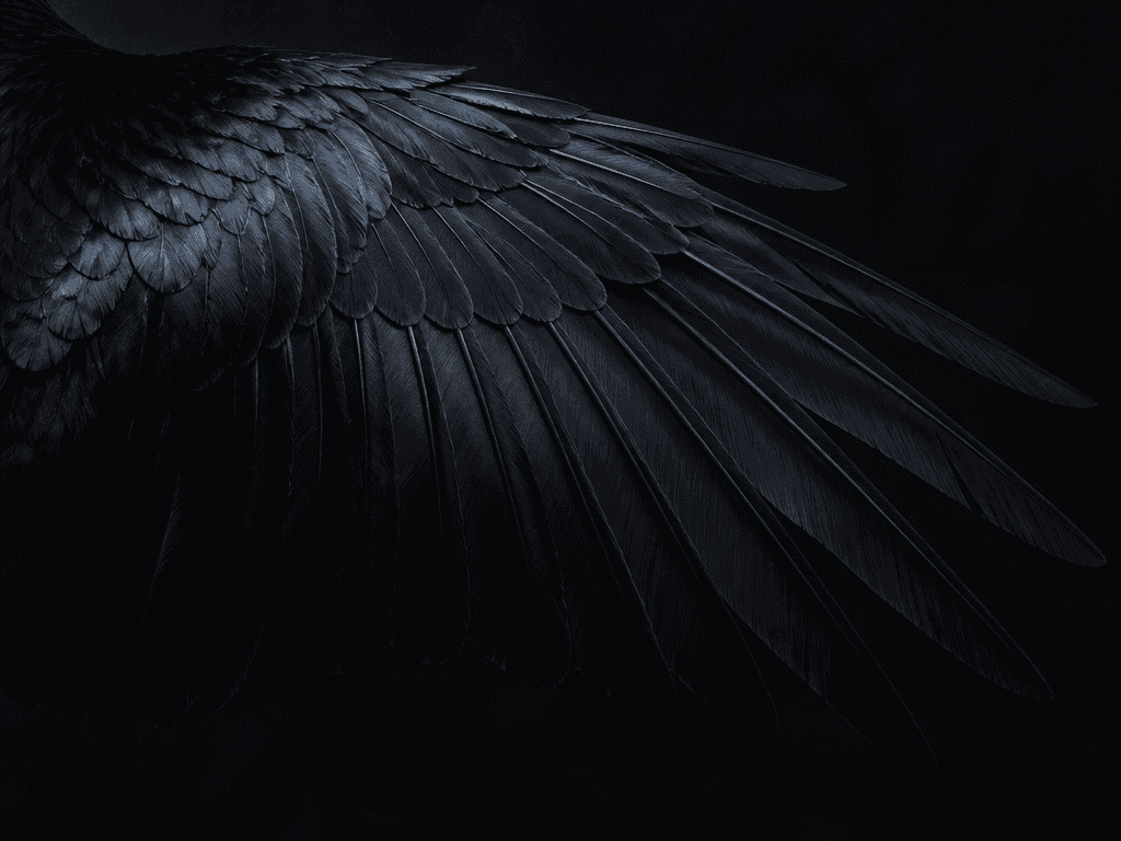 Crow Wing Illustration