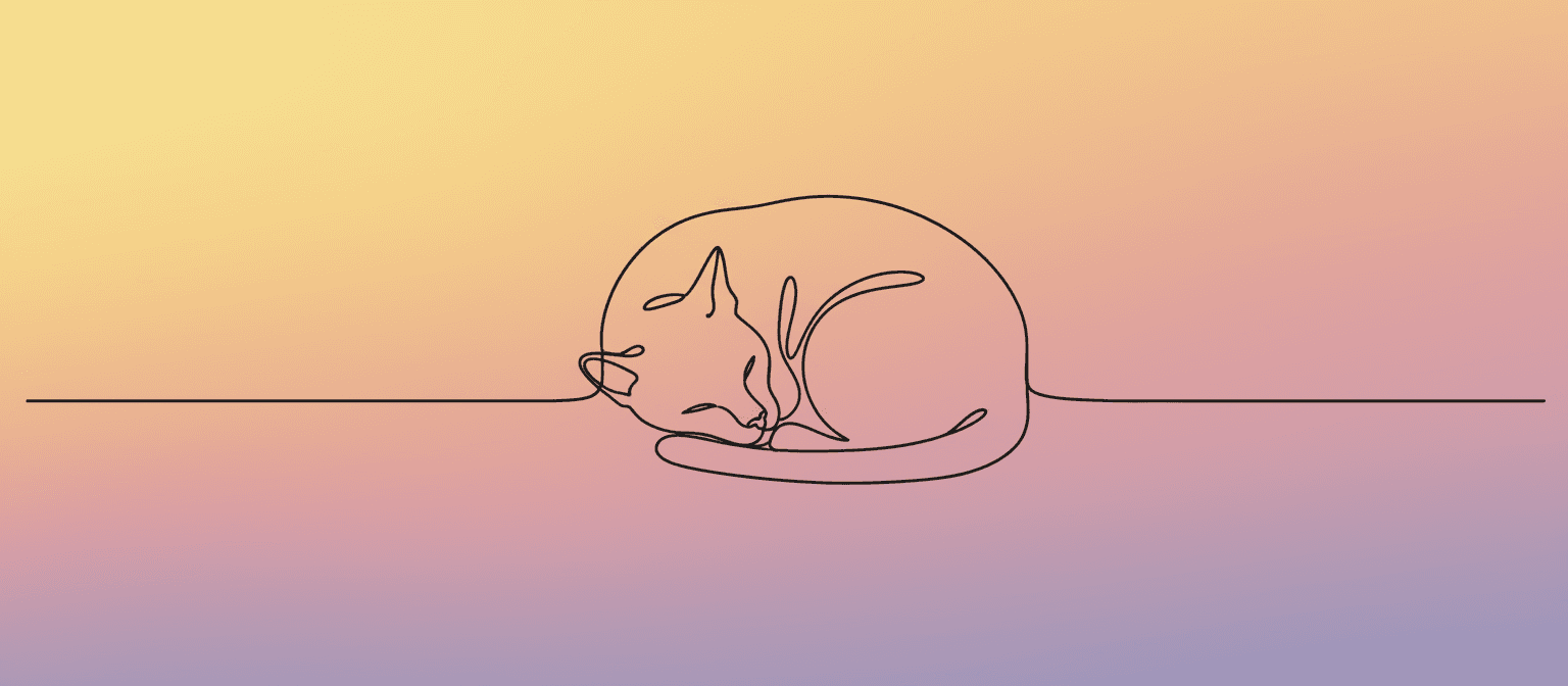 일출 색상의 배경이 있는 잠자는 고양이의 미니멀리스트 연속 선화 일러스트.