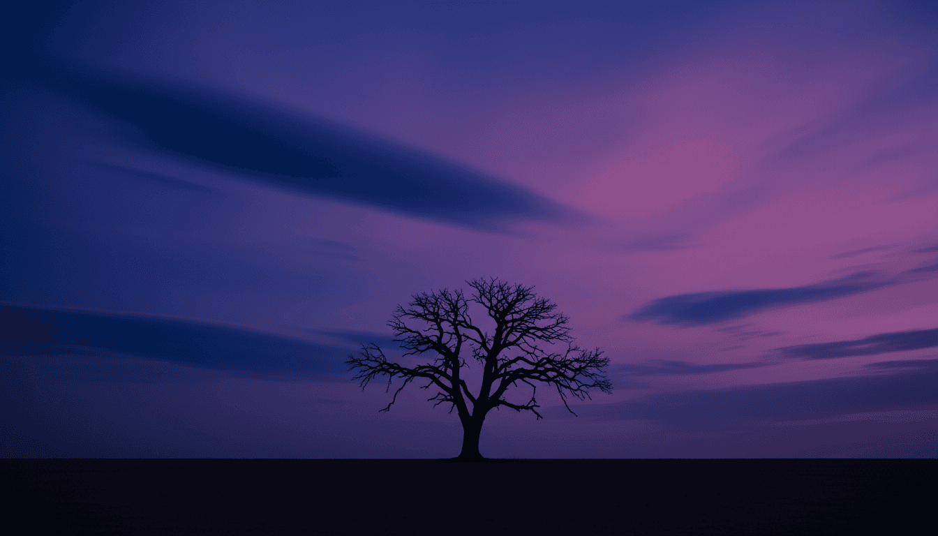 보라색과 파란색 그라데이션의 생생한 밤하늘을 배경으로 실루엣을 이루며 서 있는 고독한 나무.