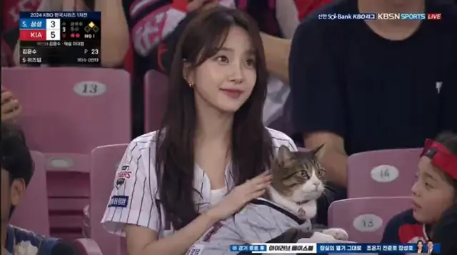 KBO Stadium Live Cam