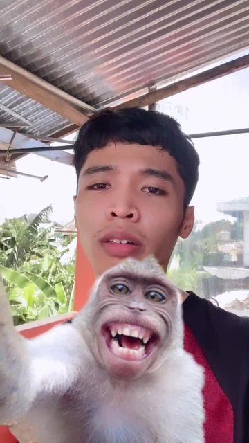 selfie with monkey