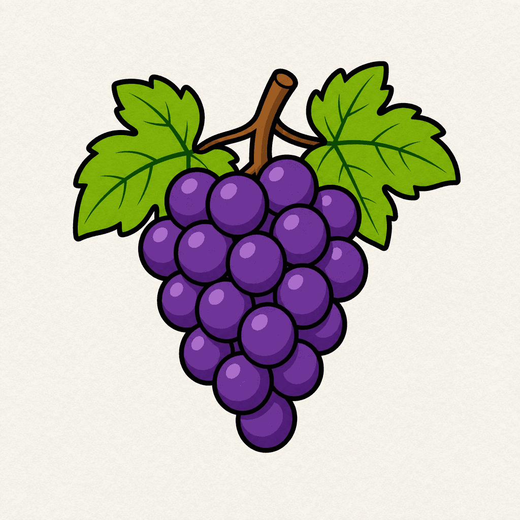Grape Illustration
