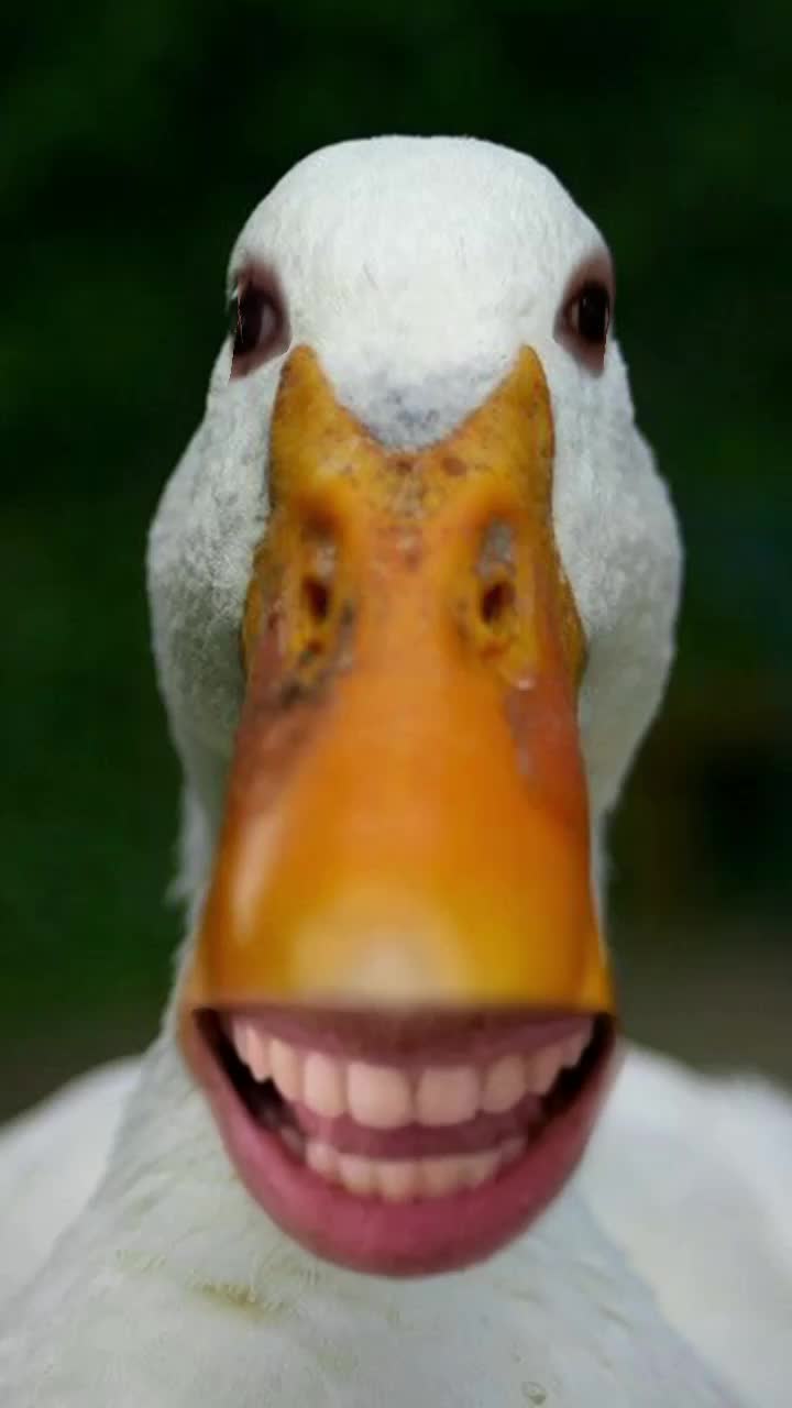 Duck face