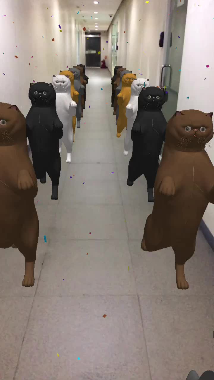 Cat Parade