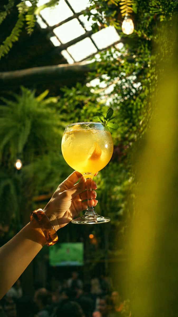 Cocktail Bar Promotional Materials